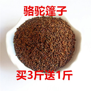 中药材骆驼篷子 骆驼蓬子 骆驼蓬籽新疆货正宗 1斤包邮买3斤送1斤