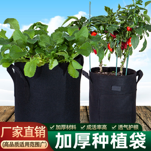 育苗袋阳台种菜盆栽盆大口径草莓专用蔬菜种植神器透气无纺布花盆