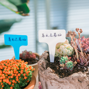 902人付款淘宝新款多肉标签牌小园艺防水防晒塑料标识牌植物名字插地