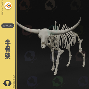 blender max fbx obj 牛骨骼 骨架3d扫描模型文件 a221