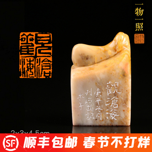 【观沧海】李亚伟篆刻引首章成品章闲章书画芙蓉石印章mt4374