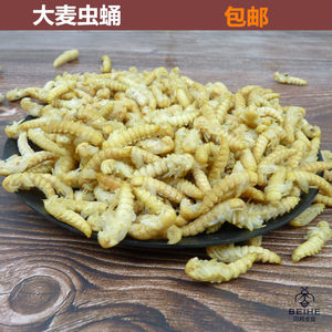 000人付款淘宝蛋白虫化蛹盘蛋白虫蛹盒大麦虫蛹盘化蛹盘化