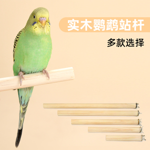 宠物鸟站棍站台鸟笼配件用站杆木质实木带螺丝八哥鹩哥鹦鹉鸟站杠