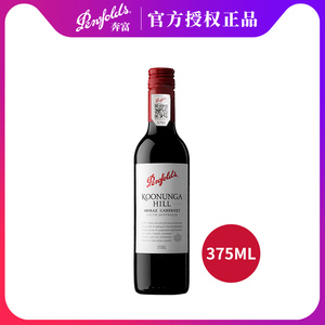 195精品传奇私服网游戏截图2