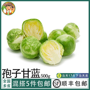 孢子甘蓝新鲜蔬菜西餐沙拉食材迷你小包菜小卷心蔬菜沙拉蔬菜500g
