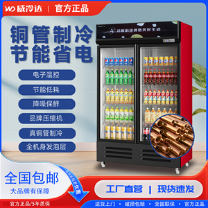 威冷达冰柜展示酒水柜冷藏商用单双门立式保鲜柜饮料大容量冷鲜柜
