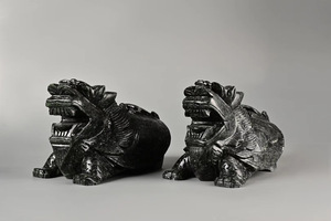 人生基因刘世存安泰粉