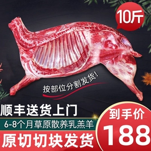 半只羊10斤羊肉生鲜分割羊腿羊排羊蝎子新鲜冷冻火锅烧烤食材8斤