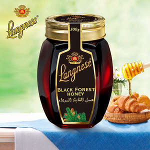 德国进口 琅尼斯 Langnese 天然成熟黑森林蜂蜜500g 瓶装无添加剂