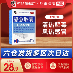 修正感愈胶囊12粒/盒清热解毒风热感冒咳嗽发热有汗鼻塞咽喉头痛