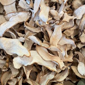 冷背药材 农家自晒 狼毒 海芋广西广东狼毒  切片中草药干品 包邮