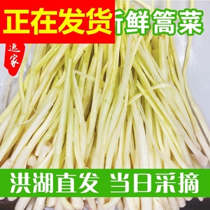 新鲜洪湖逸家清鲜蒿菜湖北特产篙菜蒲笋野茭白草心芦高菜非蒲儿菜
