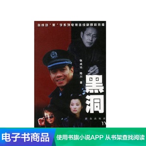 黑洞 张成功著当代公安海关反腐扫黑长篇小说电子书书籍阅读
