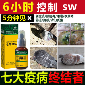 鸽药搏冠七感毒抗新城疫沙门氏腺病毒鸽痘治疗鸽子药新品水便绿便