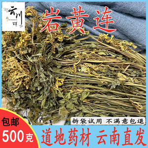 岩黄连 云南野生中药材岩胡 岩莲 菊花黄莲 新货无硫 干品包邮