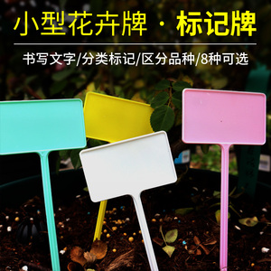 多肉标签插牌小标签牌园艺植物标记牌花卉立式标签插牌大号花签牌