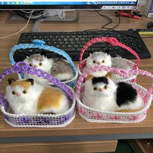 玩具车扬州旅游跟拍旅游拉孩子车新加坡圣淘沙水上探险乐园儿童旅游小