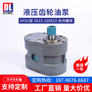齿轮油泵HY01-100X2570*25杭州平面磨床M7130 M7132 M7140液压泵B