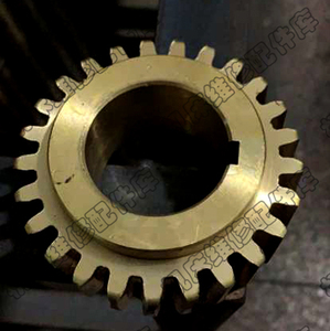 重庆机床厂y3150e.y3180h 滚齿机配件 31201升降蜗轮 右旋 z25