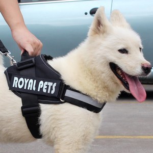 牵狗绳大型警犬胸背带宠物牵引绳牵引带狗链子狗绳子中大型犬