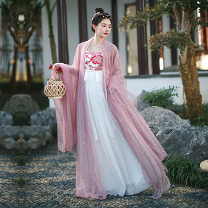 唐制汉服贵妃服女粉色诃子裙古装齐胸襦裙大袖衫古典舞蹈演出服装