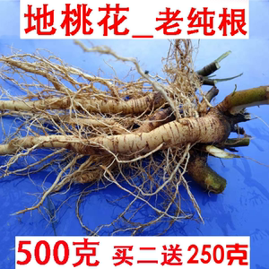 新鲜中药地桃花根 肖梵天花根 八卦草假桃花梵尚花虱麻头新鲜老根