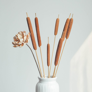 天然香蒲棒干花家居装饰摄影道具水蜡烛民宿落地中式禅意摆件摆设
