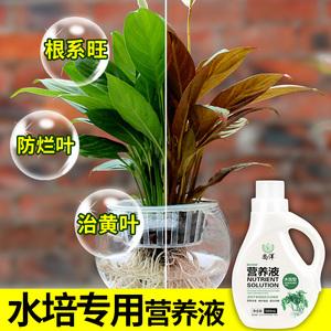 水培植物专用营养液绿萝富贵竹铜钱草滴水观音吊兰盆栽生根液体肥