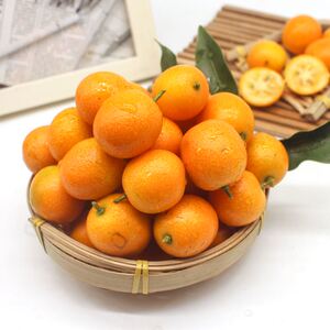 广西阳朔黄皮小金桔酱油皮麻皮酸甜滑皮新鲜水果包邮融安脆皮橘子