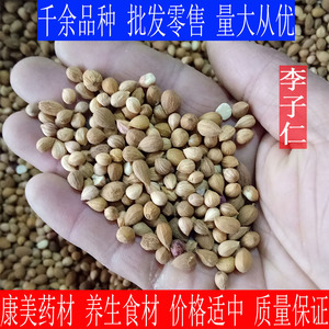 中药材李子仁李仁郁李仁粉面膜特级精选正品新货免费打磨粉500克