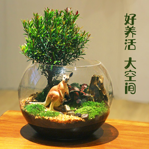 创意微缩景观盆栽大号玻璃缸迷你桌面动物摆件绿植苔藓盆景耐养