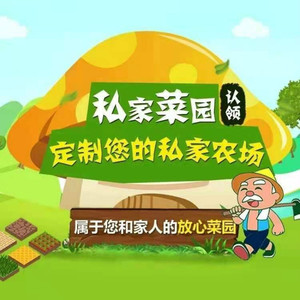 共享菜园新鲜当季有机蔬菜农家菜自然熟当季绿色健康蔬菜现摘现发