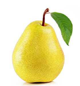 甘肃天水杨梨香蕉梨太婆梨7斤整箱包邮