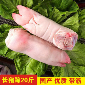 新鲜冷冻小猪蹄子生前蹄整只冰猪蹄髈熟食卤味商用猪爪猪脚40左右