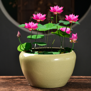 【花盆陶瓷水莲花盆特大】花盆陶瓷水莲花盆特大品牌,价格 - 阿里巴巴