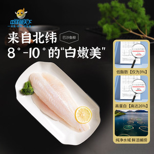 中洋鱼天下冷冻巴沙鱼柳片200g*1袋无骨无刺越南新鲜非龙利鱼