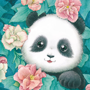 成都原创插画熊猫手绘彩铅经典风花语芙蓉玫瑰女生必选明信片