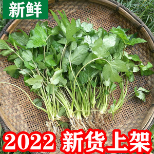 90apples19891102淘宝鸭脚零食去骨鸭掌卤味熟食下酒菜小吃休闲食品