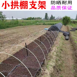 蔬菜小拱棚最佳材料图片