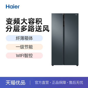 Haier/海尔 BCD-536WGHSSEDC9U1 双开门大容量智能家用电冰箱