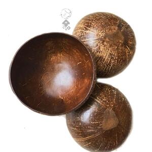 椰木碗椰壳特色精美器皿新款网红成人加厚容器甜品椰子壳碗装饰品