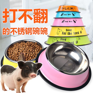 小香猪食盆吃饭的碗喂食器饮水盆宠物猪饲料食槽养猪生活的专用品
