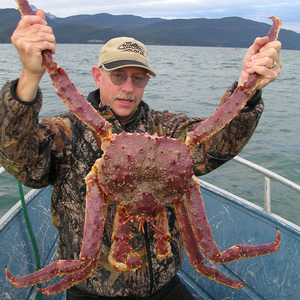 阿拉斯加帝王蟹蜘蛛蟹一只有4—6斤按斤算