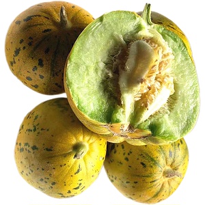 花皮香瓜新鲜水果5斤河南八里香瓜花蕾甜瓜落花甜瓜花皮面瓜包邮