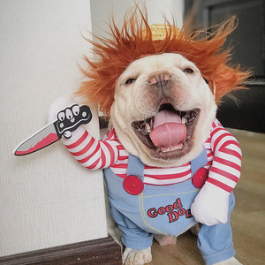 巴哥犬衣服搞笑