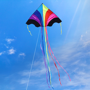 潍坊酷翔飞天彩虹风筝 大型成人微风好飞三角风筝 长尾 多彩儿童