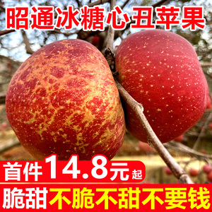 云南昭通丑苹果冰糖心苹果水果新鲜脆甜10斤红富士当季整箱包邮