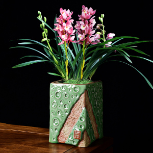 901人付款淘宝蝴蝶兰花花盆君子兰专用盆透气青山控根四方塑料方形