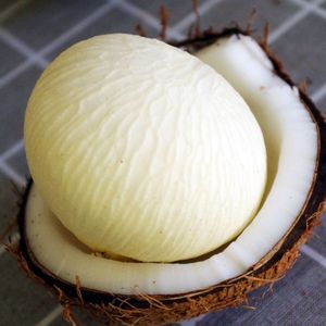 牛奶椰宝1个孕妇新鲜当季水果椰子芯椰子饼椰汁椰青椰皇老椰包邮5