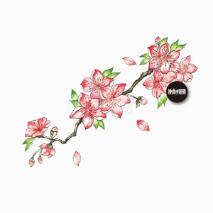 独角小怪兽原创樱花桃花纹身贴防水仙女持久性感花朵古风清新锁骨